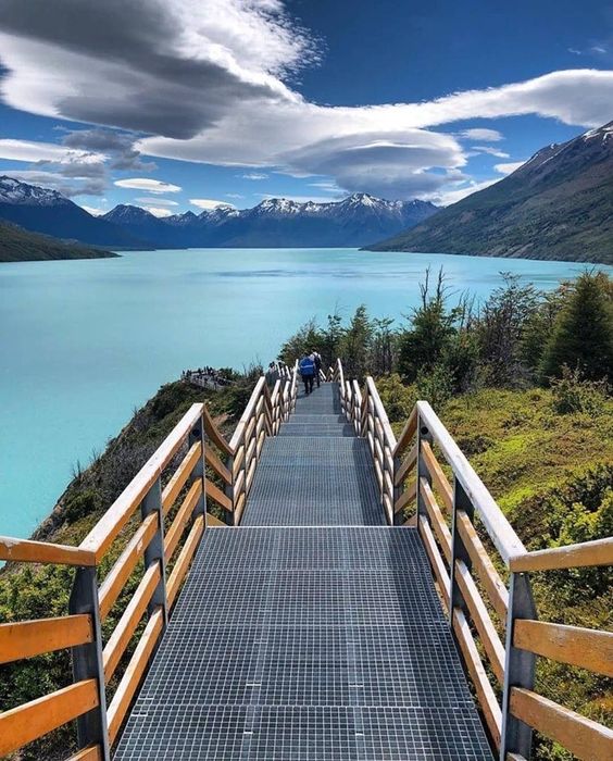 calafate calafate
