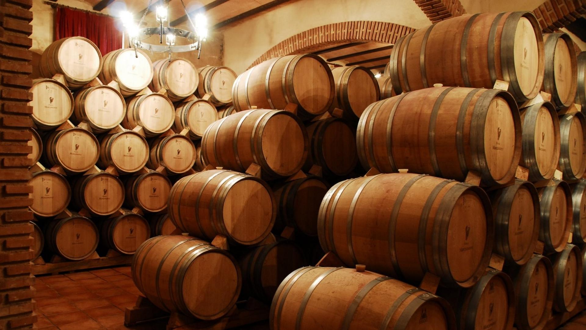 Bodegas
